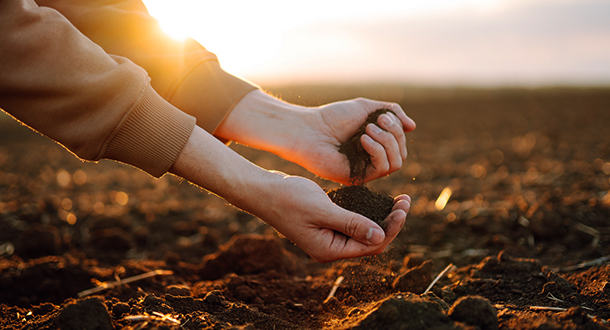 soil-conditioner Picture