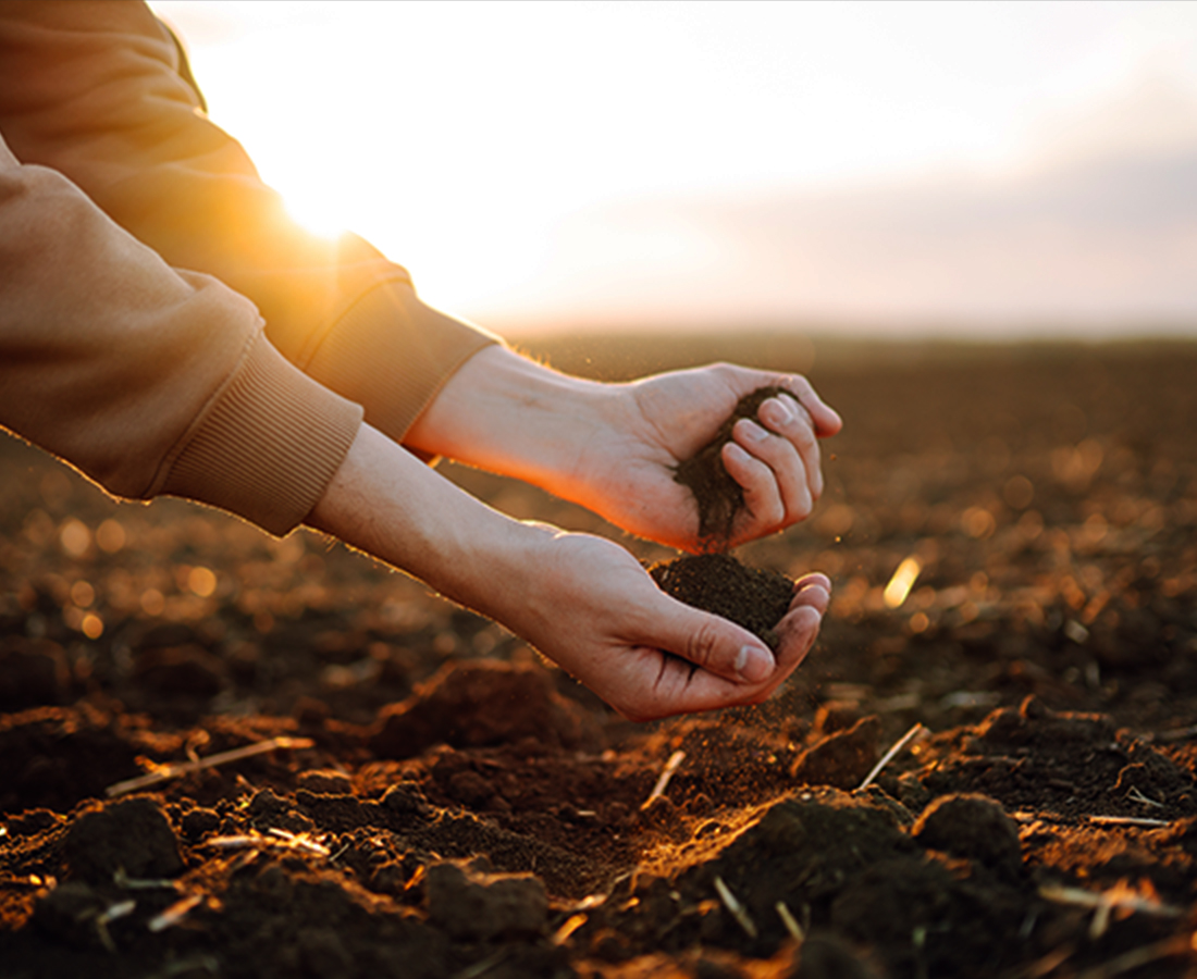 soil-conditioner Picture