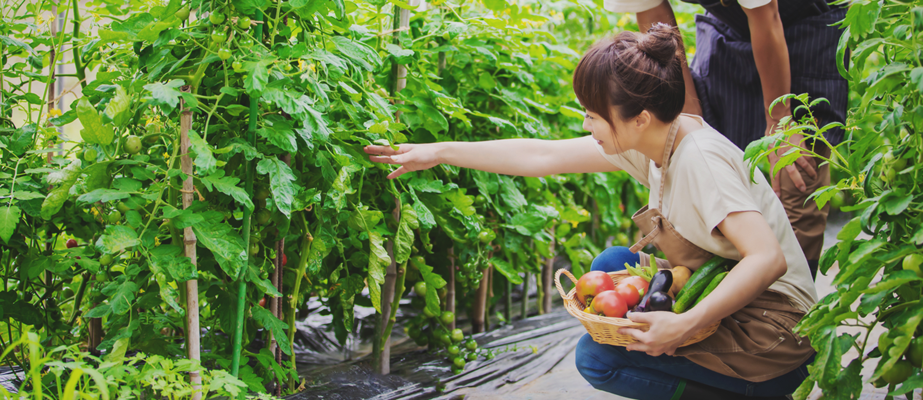 Connecting agricultural producers to the future and bringing definite innovation to agriculture